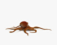 Common Octopus 3d model