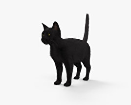 Chat noir Modèle 3D