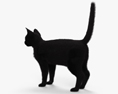 검은 고양이 3D 모델 