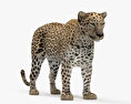 Leopard 3D-Modell