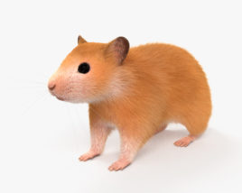 Hamster Modelo 3d