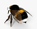 Bumblebee 3d model