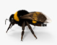Bumblebee 3d model