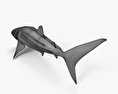 고래상어 3D 모델 