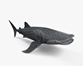 Tubarão-baleia Modelo 3d