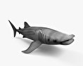Китовая акула 3D модель