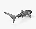 Squalo Balena Modello 3D
