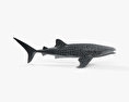 鯨鯊 3D模型