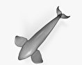 Killer Whale 3d model