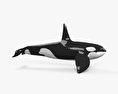 Killer Whale 3d model