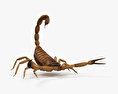 Scorpion 3d model