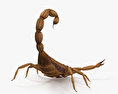 Scorpion 3d model