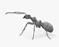 Ant 3d model