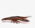 Lobster 3d model