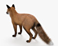 European Red Fox 3d model
