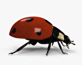 Ladybird 3d model