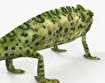 Veiled Chameleon 3d model
