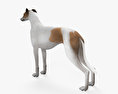 Greyhound Modello 3D