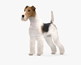 Fox Terrier 3D model