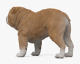 斗牛犬 3D模型
