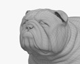 Bulldogge 3D-Modell