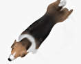 Foxhound anglais Modèle 3d