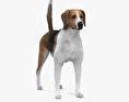 English Foxhound 3D-Modell