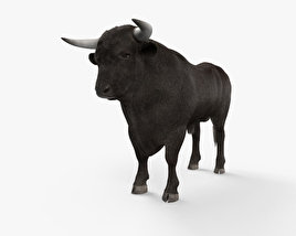 Bull 3D model