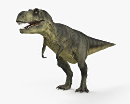 Tyrannosaurus rex Modelo 3D
