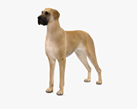 大丹犬 3D模型