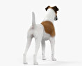 Fox Terrier 3d model