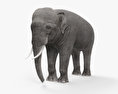 Elefante asiatico Modello 3D