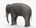 Elefante asiatico Modello 3D
