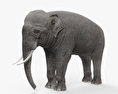 Asiatischer Elefant 3D-Modell