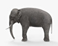 Слон індійський 3D модель