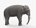 Elefante-asiático Modelo 3d