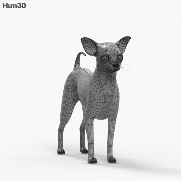 192 Chihuahua Handbag Images, Stock Photos, 3D objects, & Vectors