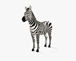 Zebra 3D model