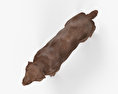 Лабрадор-ретривер Шоколадного кольору 3D модель