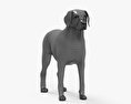 拉布拉多寻回犬巧克力 3D模型