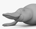 Platypus 3d model