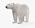 Eisbär 3D-Modell