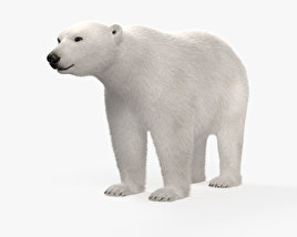 北極熊 3D模型