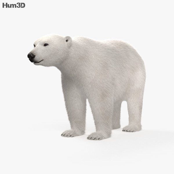 북극곰 3D 모델 