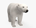 Белый медведь 3D модель