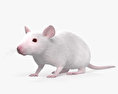 Mouse White 3d model