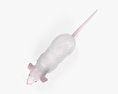 Mouse White 3d model