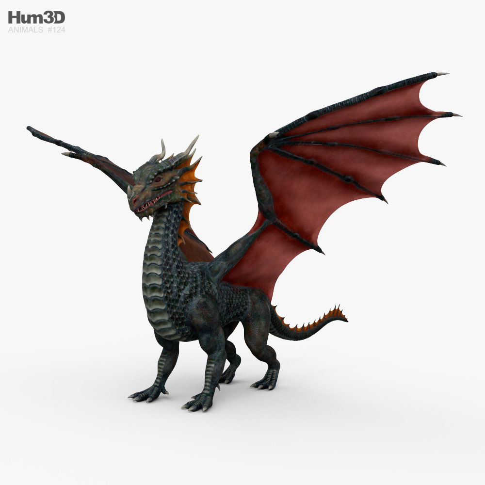 Dragón europeo Modelo 3D