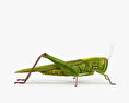 Grasshopper 3d model