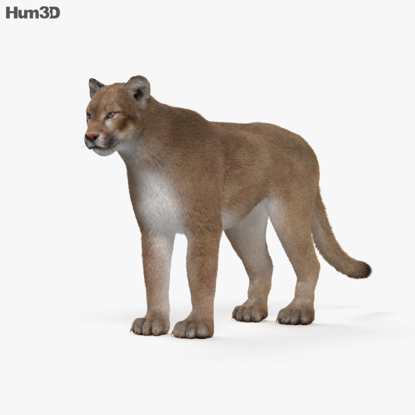 Puma 3D-Modell